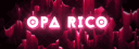 Opa Rico Community-Discord banner
