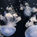 Butt Boys Bath House Banner