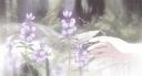 𝒔 𝒂 𝒌 𝒖 𝒓 𝒂 Banner