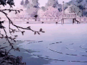 Weebs Hangout banner