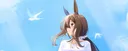 banner