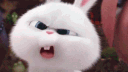 kiwey banner