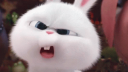 kiwey Banner