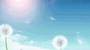 AniLab™ banner