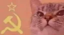 Xum’s Room banner