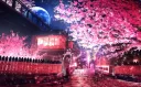 Sakura🌸 banner