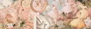 Aphrodite#9356 banner