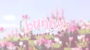 bunny hub <3 banner