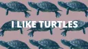 I LIKE TURTLES 🐢 banner