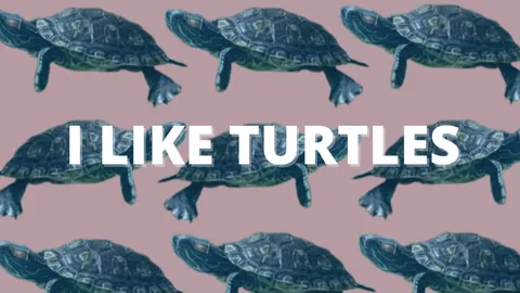 I LIKE TURTLES 🐢 banner