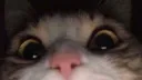 наидобрейший дискордик banner