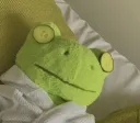 🐸・froggie ₊ emotes banner
