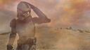 248th Desolation Battalion Banner
