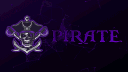 #PIRATE™ banner