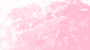 Ashville Smp banner