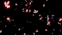 aiden's profile banner