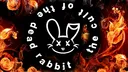 cult of the dead rabbit server banner