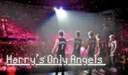 Harry’s Only Angels banner