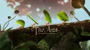 The Ants Official banner