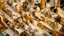 Al-Huda | الهدى banner