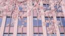 ୭୧        nai’s cafe       ₊  ෆ         anime ・ kpop Banner