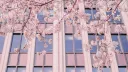 ୭୧ nai’s cafe ₊ ෆ anime ・ kpop banner