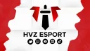 HVZ E-Sport 🇪🇺 banner
