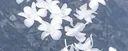 Finnja | CosmicJonghoNikiYeonjun's profile banner
