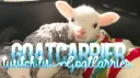 Lil Goats banner