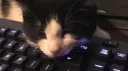ʀᴀʀᴇ ᴘᴇᴏᴘʟᴇ banner
