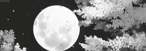 Discord banner background