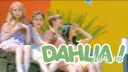 ✿%  DAHLIA !! banner