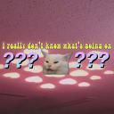 𝓻𝓪𝓿'𝓼 𝓻𝓸𝓸𝓶 Banner