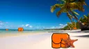 Cheek Squad banner