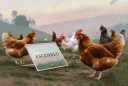 A S C E N D E D banner