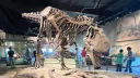 Dino Nerd Club banner