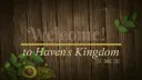 Haven's Kingdom Banner