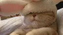 neko ☆ Discord server banner