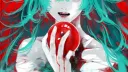 Rin's Server banner