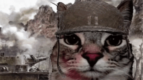 Raptors Chat Discord server banner