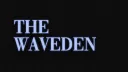 The Wave Den Banner