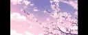 Wasabi Plays banner