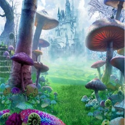 Chaotic Wonderland Discord server banner