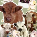𝕭ò 𝕾ữ𝖆 𝕮𝖑𝖚𝖇┃🥛 banner