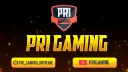 Pri Gaming banner