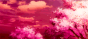 3XD banner