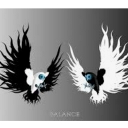 yin yang Discord server banner