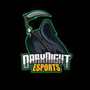 Darknight々Esports Banner
