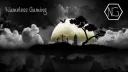NameLess Gaming banner