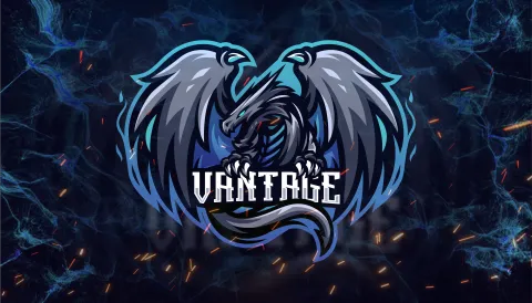 Vantage Network banner